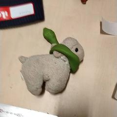 Schaap met slang om nek, segundo informou IKEA Zwolle usando iLost
