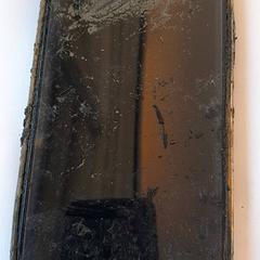 İLost kullanarak DierenPark Amersfoort tarafından bildirildiği gibi Mobiele telefoon