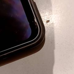 Telefon, jak nahlášeno De Efteling pomocí iLost