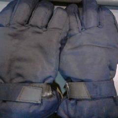 Handschuhe, gemeldet von SnowWorld Landgraaf über iLost