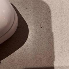 Earpods, segundo informou De Efteling usando iLost