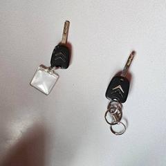Key, as reported by Keolis Seine Maritime using iLost