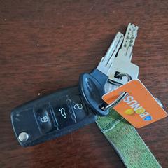 Sleutelbos an iLost gemeldet