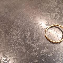 Eraztuna, gisa salatu by Rotterdam The Hague Airport iLost erabiliz