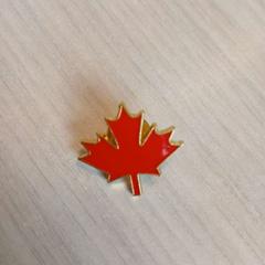 Pin red and cold Canadian leaf, segons ha informat Amsterdam ID Aparthotel mitjançant iLost