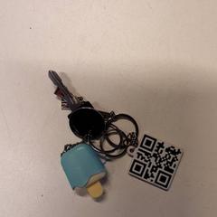 Clauer, segons ha informat Qbuzz ZHN mitjançant iLost