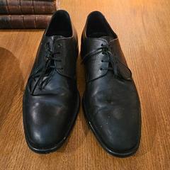 Zapato, segundo informou Groepsaccomodatie Kasteel de Berckt usando iLost