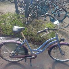 Bicicleta Sparta Blauw, roze, ha sido reportado por Fietsdepot Meierijstad con iLost