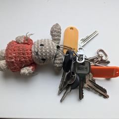 Keys, ha sido reportado a iLost