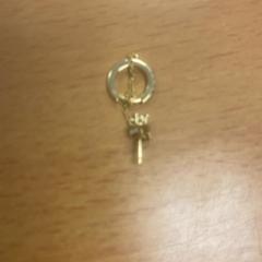 Earring earing, as reported by Inntel Hotels Amsterdam Centre using iLost