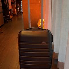 Grey Suitcase swapped on ICE125 17 June 2026, gerapporteerd met iLost