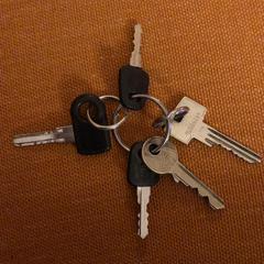 Sleutelbos, jak zgłoszono do iLost