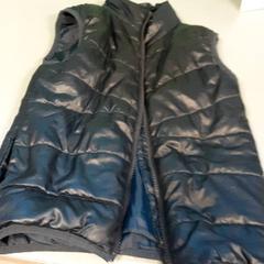 Testmelegítő, amint azt Diergaarde Blijdorp az iLost segítségével jelentette.