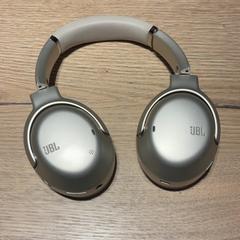 Auriculars Grijs, segons ha informat Van der Valk Hotel Apeldoorn - De Cantharel mitjançant iLost