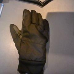 Handschuh, gemeldet von SnowWorld Landgraaf über iLost