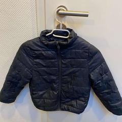 Dzseki Blau, amint azt Wilmering Vechta az iLost segítségével jelentette.