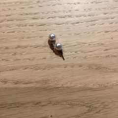 الأقراط، كما تم الإبلاغ عنه بواسطة Poppodium 013 عبر iLost