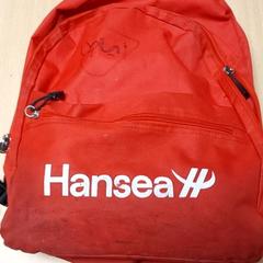 Ruksak - Hansea, ako bolo nahlásené Centraal magazijn pomocou iLost