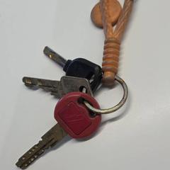 Kľúčenka veiligheidssleutels, ako bolo nahlásené Stad Hasselt pomocou iLost