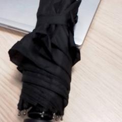 Esernyő Zwart,, amint azt Qbuzz Fryslân az iLost segítségével jelentette.