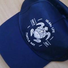 Gorra Blauw, ha sido reportado por Spoorwegmuseum con iLost