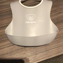 Śliniaczek Grijs, zgłoszono przez Van der Valk Hotel Zwolle przy użyciu iLost