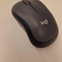 Rato, como reportado por HvA Amstelcampus utilizando o iLost