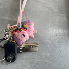 Klucze, zgłoszono przez Arriva Achterhoek-Rivierenland przy użyciu iLost