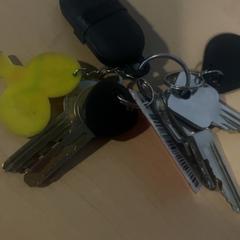 키체인, iLost를 사용하여 Jaarbeurs에 보고됨