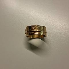 Ringa, rapporterat av Ziekenhuis Oost-Limburg med iLost