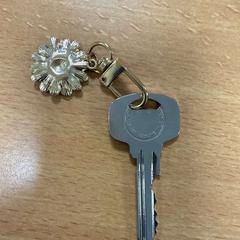 Llave hanger roze bloem, ha sido reportado por VITAZ campus Sint-Niklaas con iLost