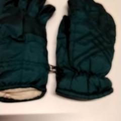 Rukavice Groen, jak nahlášeno Gemeente Puurs-Sint-Amands pomocí iLost