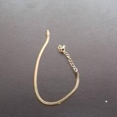 Armband, zoals gemeld door Apenheul met iLost