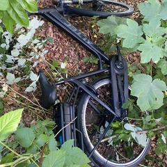 Elektrische damesfiets, iLost에 보고됨