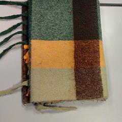 İLost kullanarak Vrije Universiteit Amsterdam tarafından bildirildiği gibi Şal