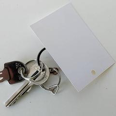 Llave, ha sido reportado por Centraal magazijn con iLost