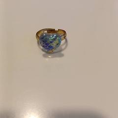 Ring, as reported by RAI Amsterdam using iLost