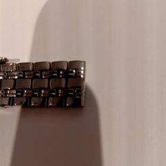 손목 시계 horlige, iLost를 사용하여 De Efteling에 보고됨