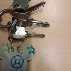 Portachiavi, come riportato da RET utilizzando iLost