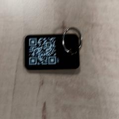 İLost kullanarak Arriva Vechtdallijnen tarafından bildirildiği gibi Anahtarlık Sleutelhanger