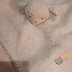 Mantita Schaap, ha sido reportado por IKEA Wilrijk con iLost