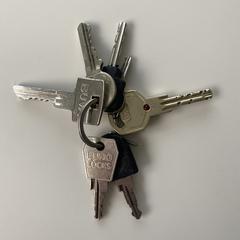 Sleutelbos an iLost gemeldet