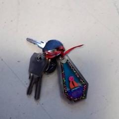 Porte-clés, a été signalé par Hermes Eindhoven utilisant iLost