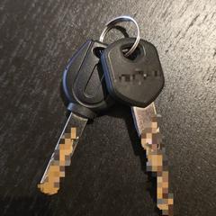 Sleutelbos,  2 Keys, amint azt az iLostnak jelentették.