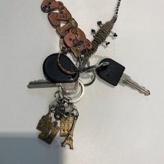 Kľúčenka Axa fietssleutel en Dom huissleutel, ako bolo nahlásené Gemeente Waalwijk pomocou iLost