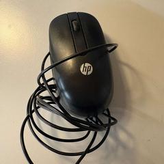 Mouse, as reported by Padualaan 99 using iLost