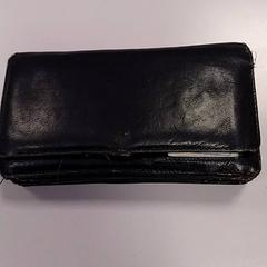 Carteira Legene, como reportado por Vrije Universiteit Amsterdam utilizando o iLost