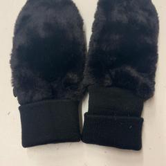 Luvas, segundo informou Het Amsterdamse Winterparadijs usando iLost