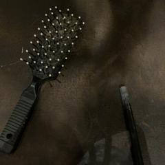 Brush, as reported by Van der Valk Hotel Heerlen using iLost