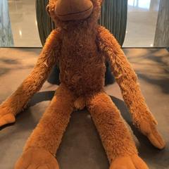 Toy, as reported by Van der Valk Hotel Heerlen using iLost